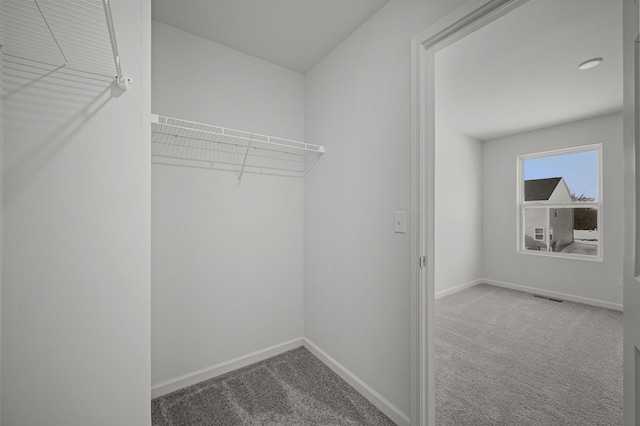 walk in closet with visible vents and carpet flooring