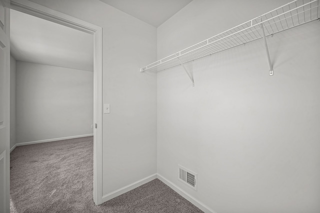 spacious closet with visible vents and carpet floors