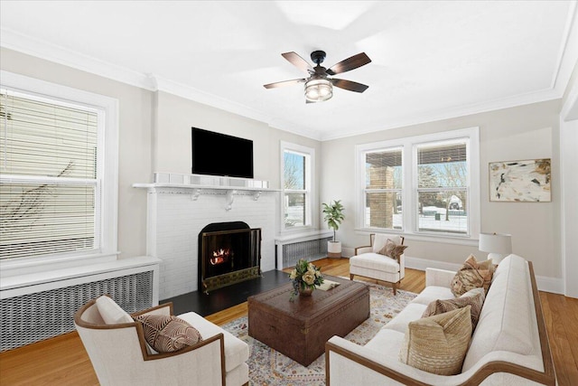 living room featuring hardwood / wood-style floors, a wealth of natural light, radiator heating unit, and a fireplace