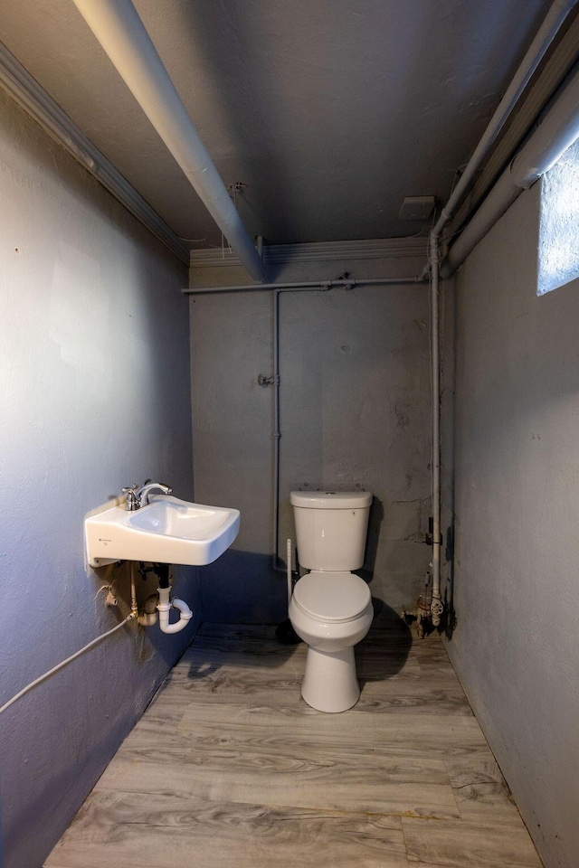 bathroom with wood-type flooring, toilet, and sink