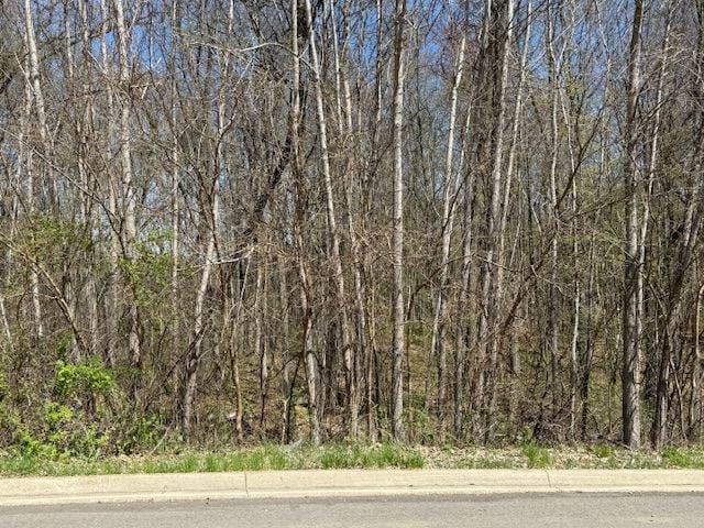 11978 Scenic Vly, Davisburg, MI 48350