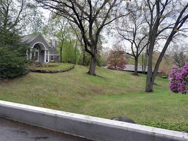 31265 Woodside Dr, Franklin, MI 48025 - view of yard