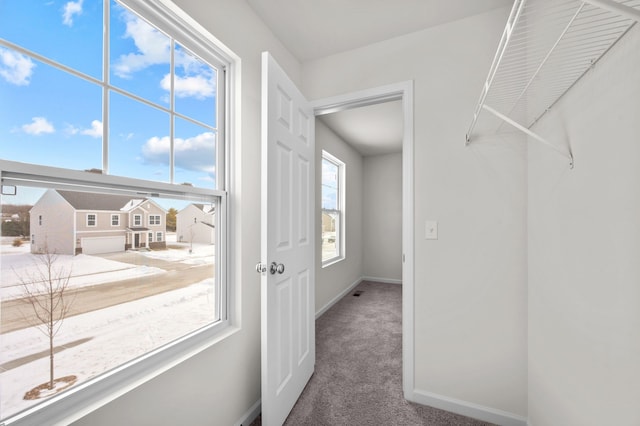 spacious closet featuring carpet flooring