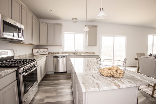 kitchen featuring appliances with stainless steel finishes, dark wood-style flooring, and a healthy amount of sunlight