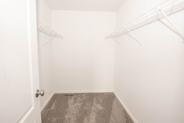 spacious closet featuring carpet flooring and visible vents