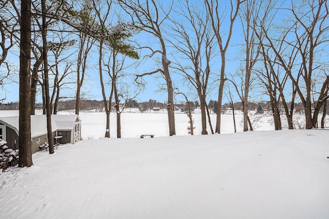 view of snowy yard