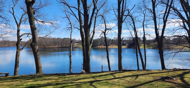 property view of water