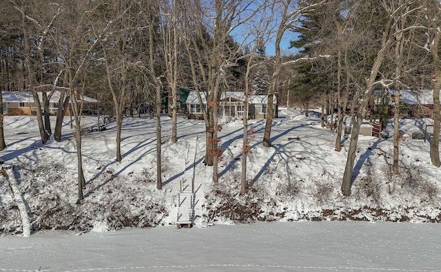 view of yard covered in snow