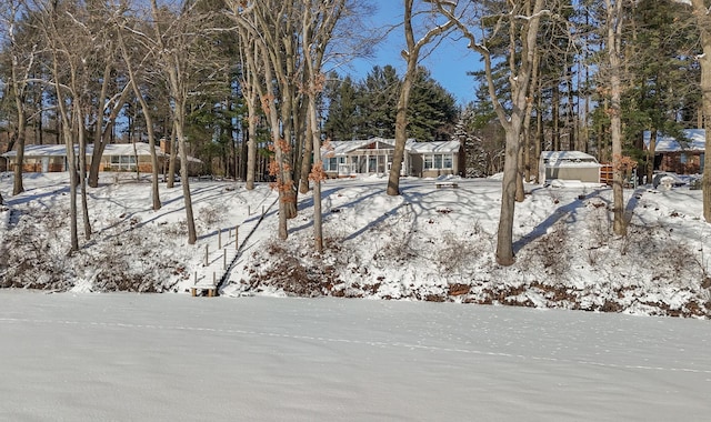 view of yard covered in snow