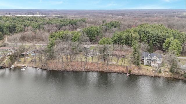bird's eye view with a water view and a view of trees