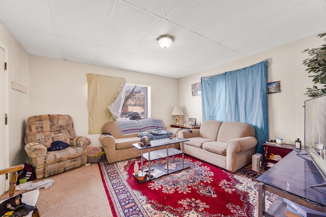 living room featuring carpet floors and a drop ceiling