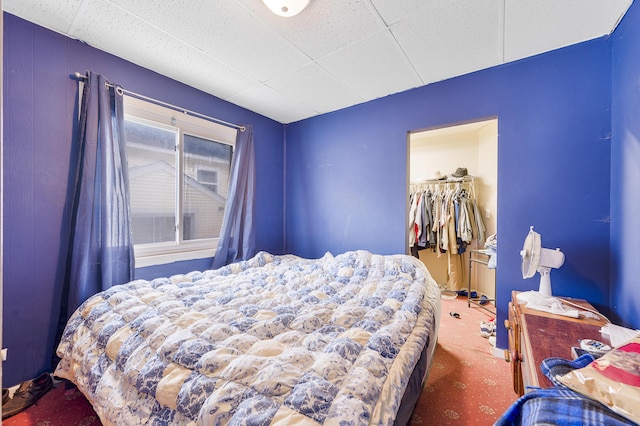 bedroom featuring a drop ceiling, a walk in closet, carpet floors, and a closet