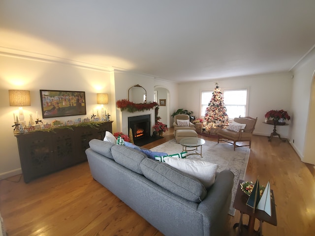 living room with crown molding and hardwood / wood-style flooring