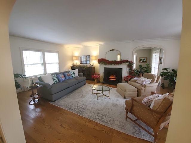 living room with wood-type flooring and crown molding