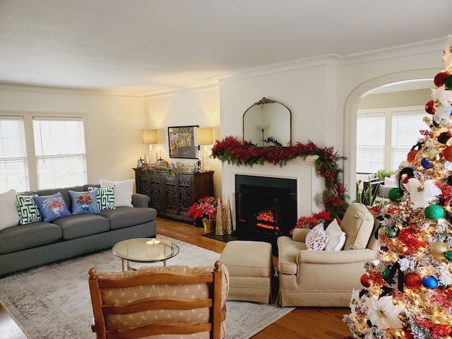 living room featuring ornamental molding and wood-type flooring