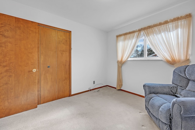 sitting room featuring carpet floors