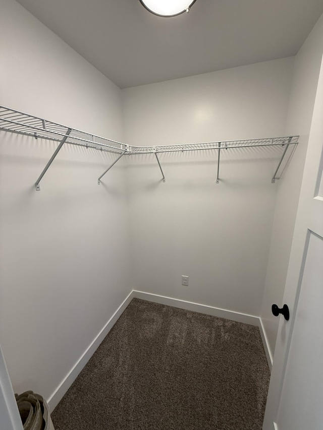 spacious closet with carpet flooring