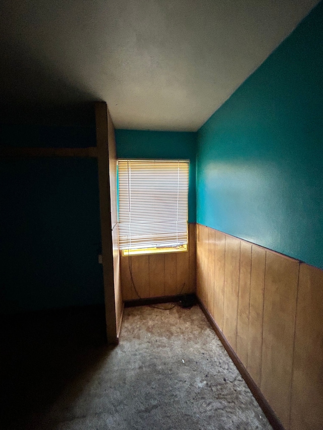 spare room featuring wooden walls and light colored carpet