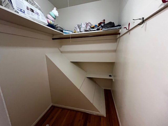 walk in closet featuring dark hardwood / wood-style flooring