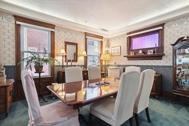 dining room with carpet floors and a textured ceiling