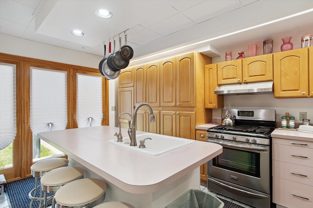 kitchen with gas range, a kitchen breakfast bar, and a kitchen island with sink