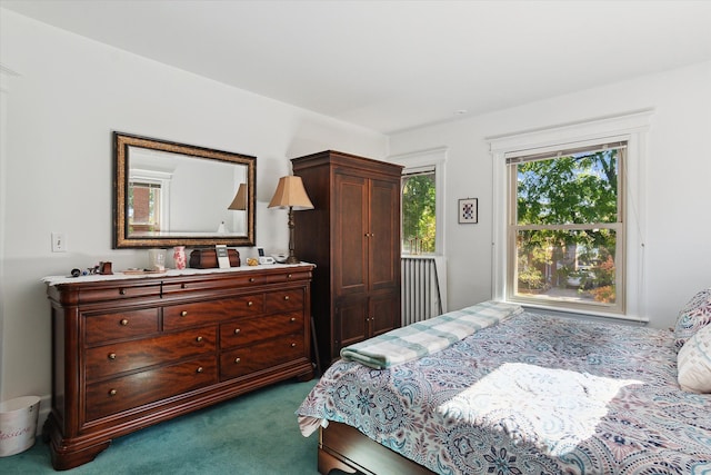 bedroom with dark carpet