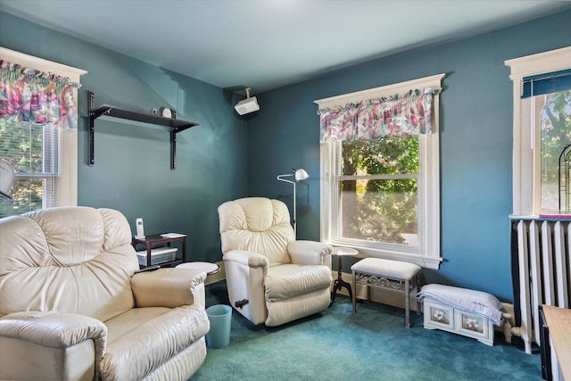 sitting room with radiator heating unit and carpet