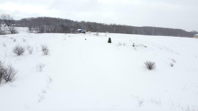 Listing photo 3 for ParcelD Floreys Ranch Road, Buckley MI 49620