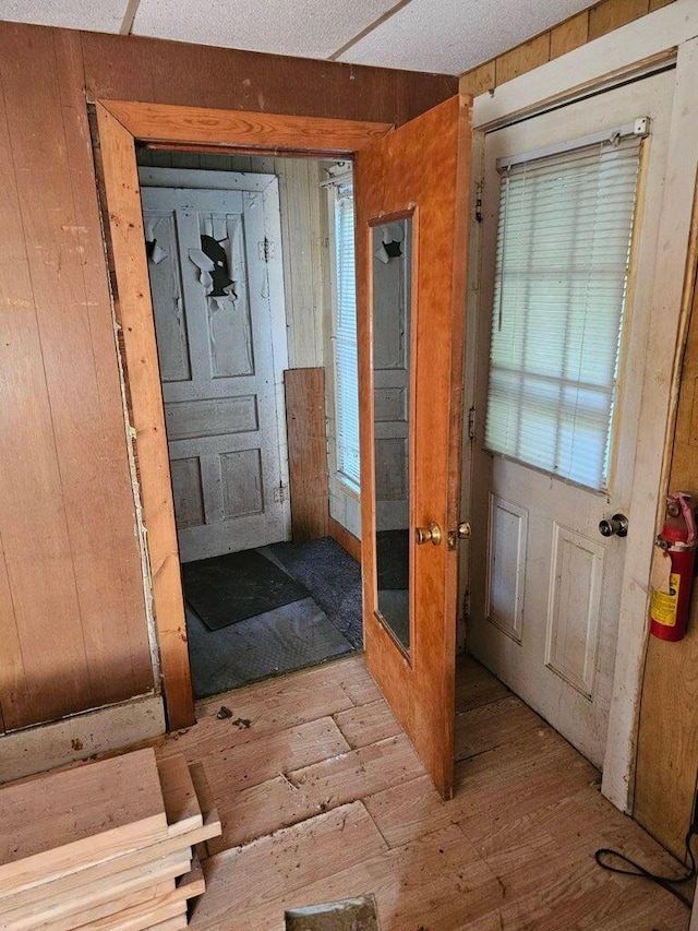 doorway featuring light wood-type flooring and wood walls