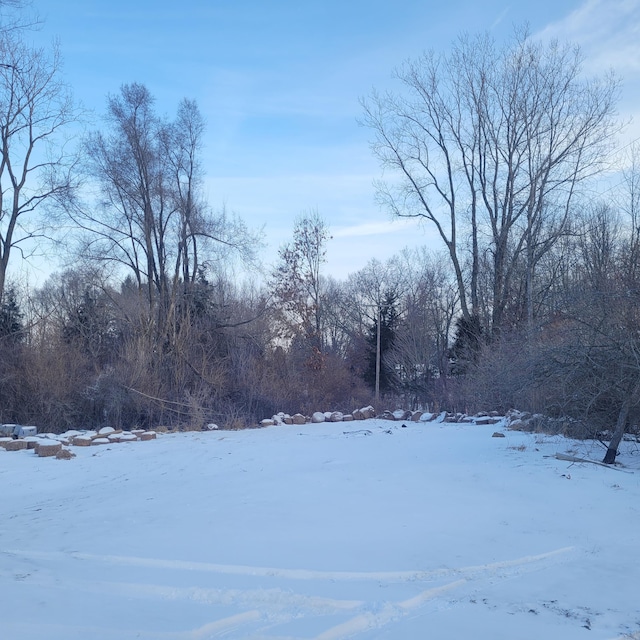 view of yard covered in snow