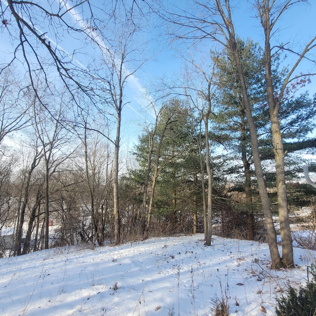 view of snowy landscape