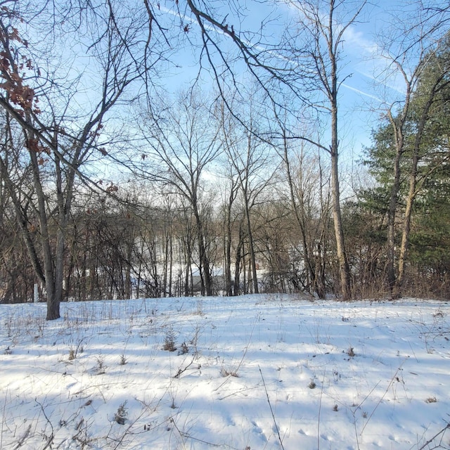 view of yard covered in snow