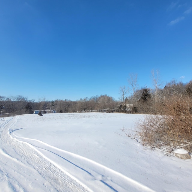 view of yard covered in snow