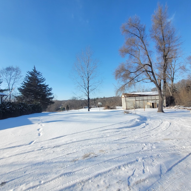 view of snowy yard