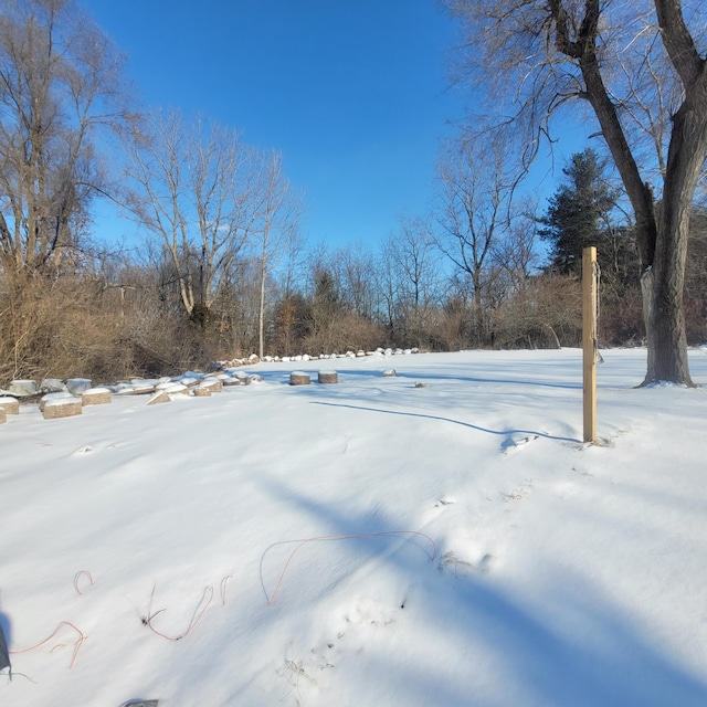 view of yard layered in snow