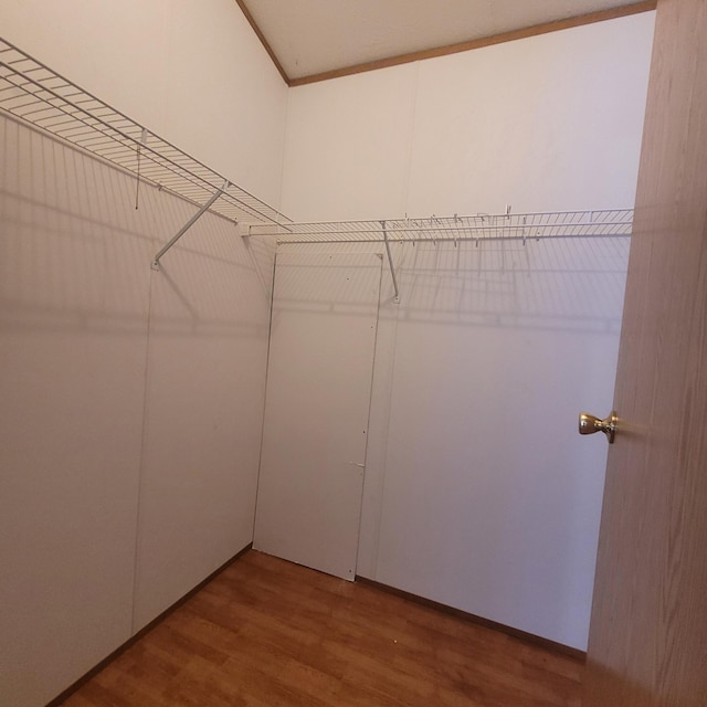 spacious closet with hardwood / wood-style floors