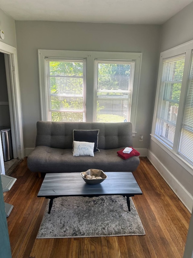 living room with dark wood-type flooring