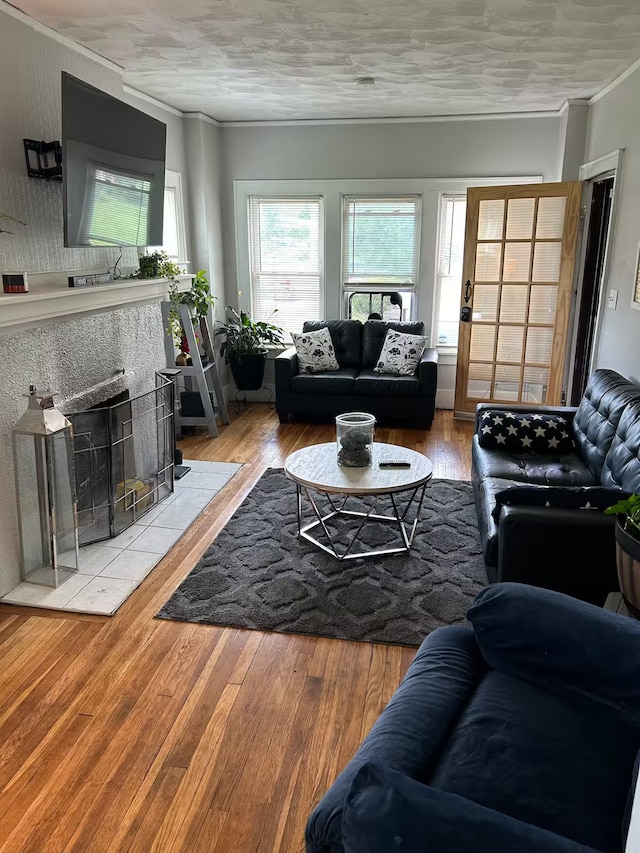 living room featuring crown molding, a fireplace, and light hardwood / wood-style floors