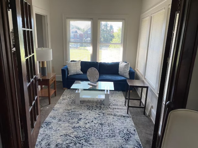 living room featuring carpet floors