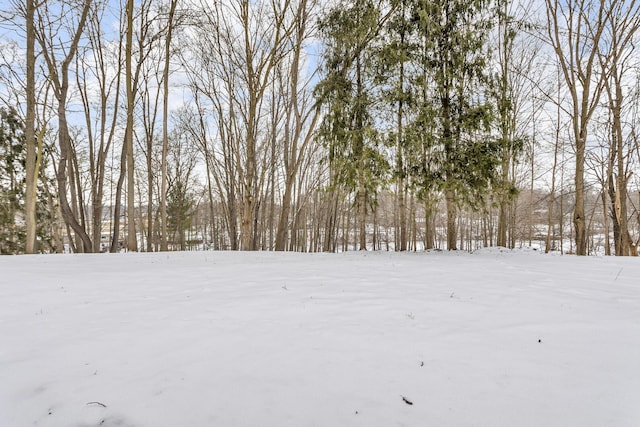 view of snowy yard