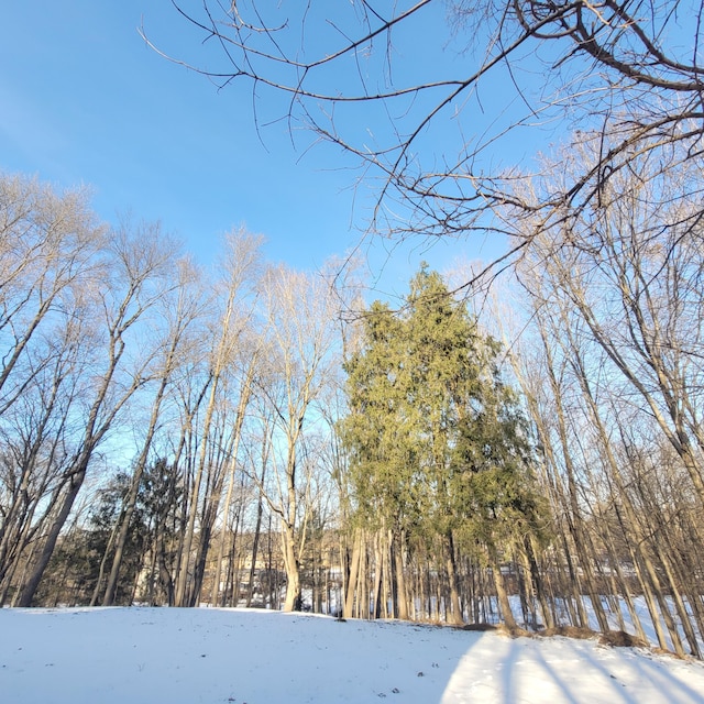 view of snow covered land