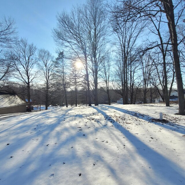 view of yard layered in snow