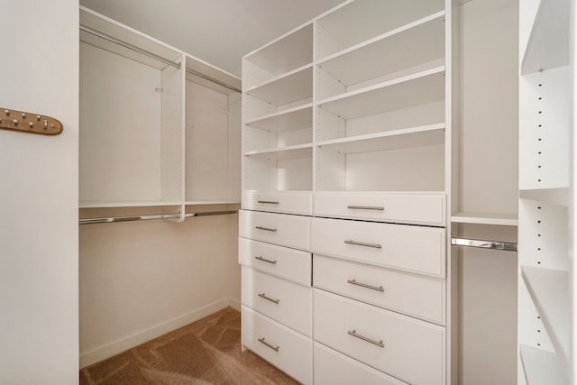 spacious closet featuring carpet