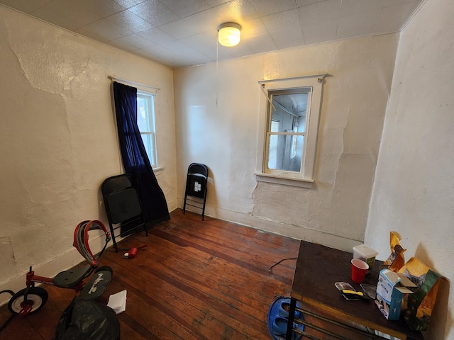 misc room featuring dark wood-type flooring