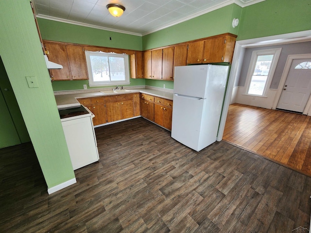 kitchen with sink, white appliances, dark wood-type flooring, ventilation hood, and ornamental molding