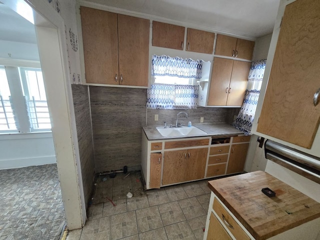 kitchen featuring tasteful backsplash, sink, and butcher block countertops