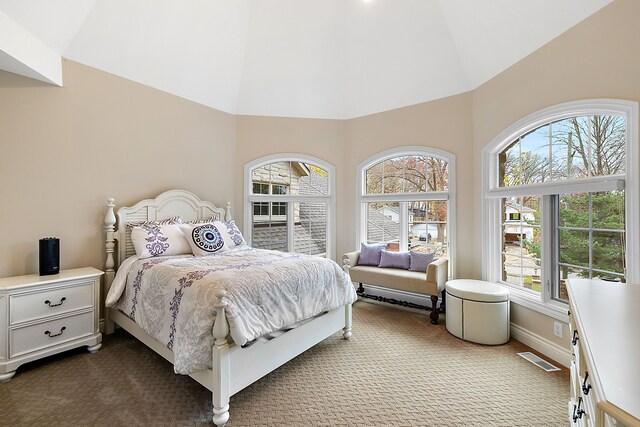 carpeted bedroom with lofted ceiling