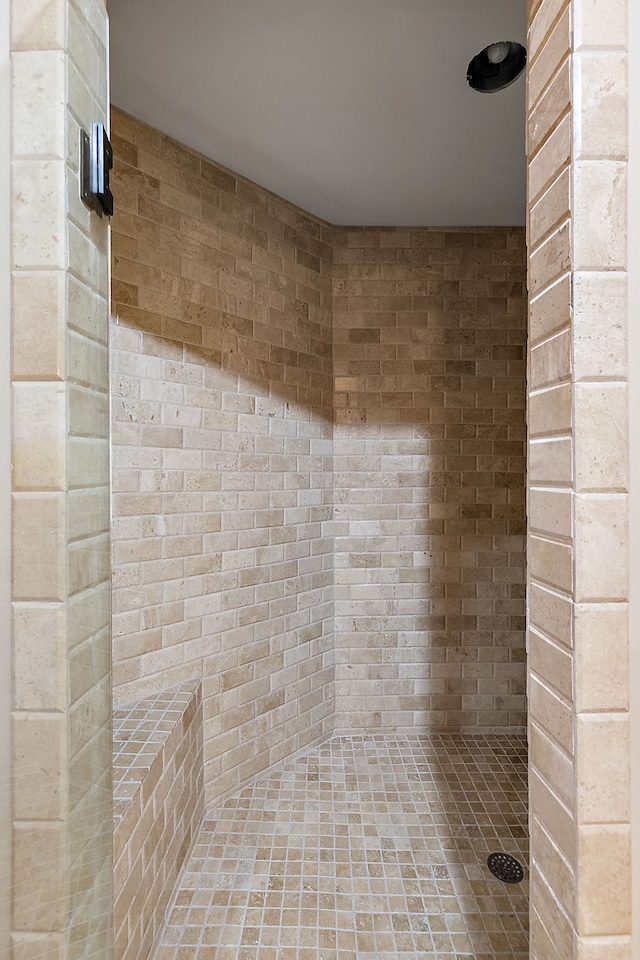 full bathroom with a tile shower