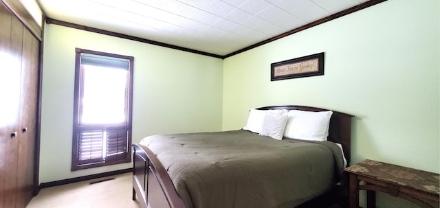 carpeted bedroom with crown molding and a closet