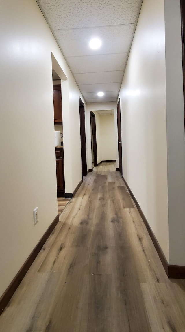 hallway with a drop ceiling and light wood-type flooring